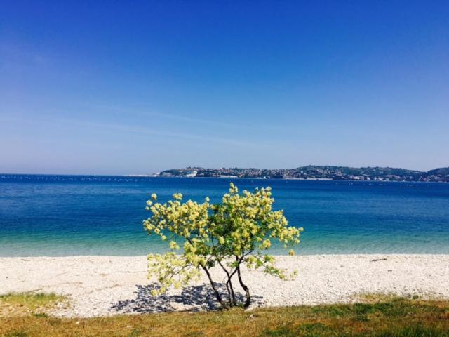 Apartment Umag Nelly Zewnętrze zdjęcie