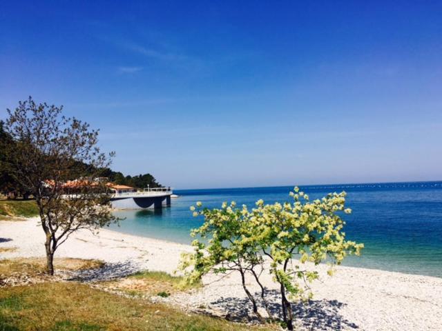 Apartment Umag Nelly Zewnętrze zdjęcie