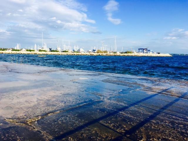 Apartment Umag Nelly Zewnętrze zdjęcie