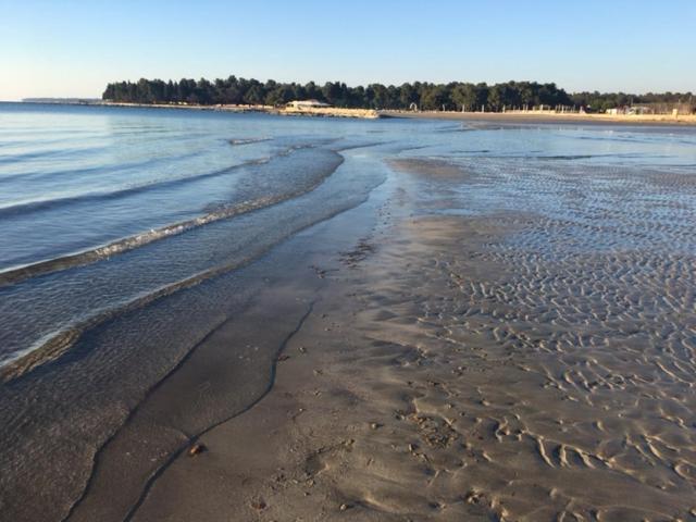 Apartment Umag Nelly Zewnętrze zdjęcie